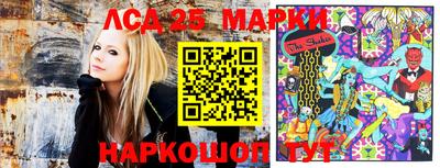 спиды Боровичи